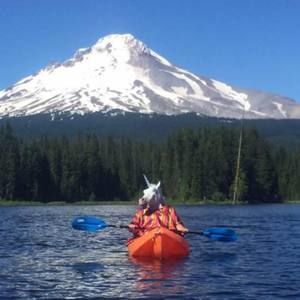 Meet your Posher, Katie